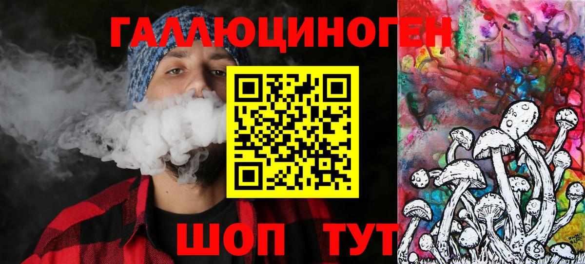 Находка  Галлюциногенные грибы прущие грибы  Вход с VPN 